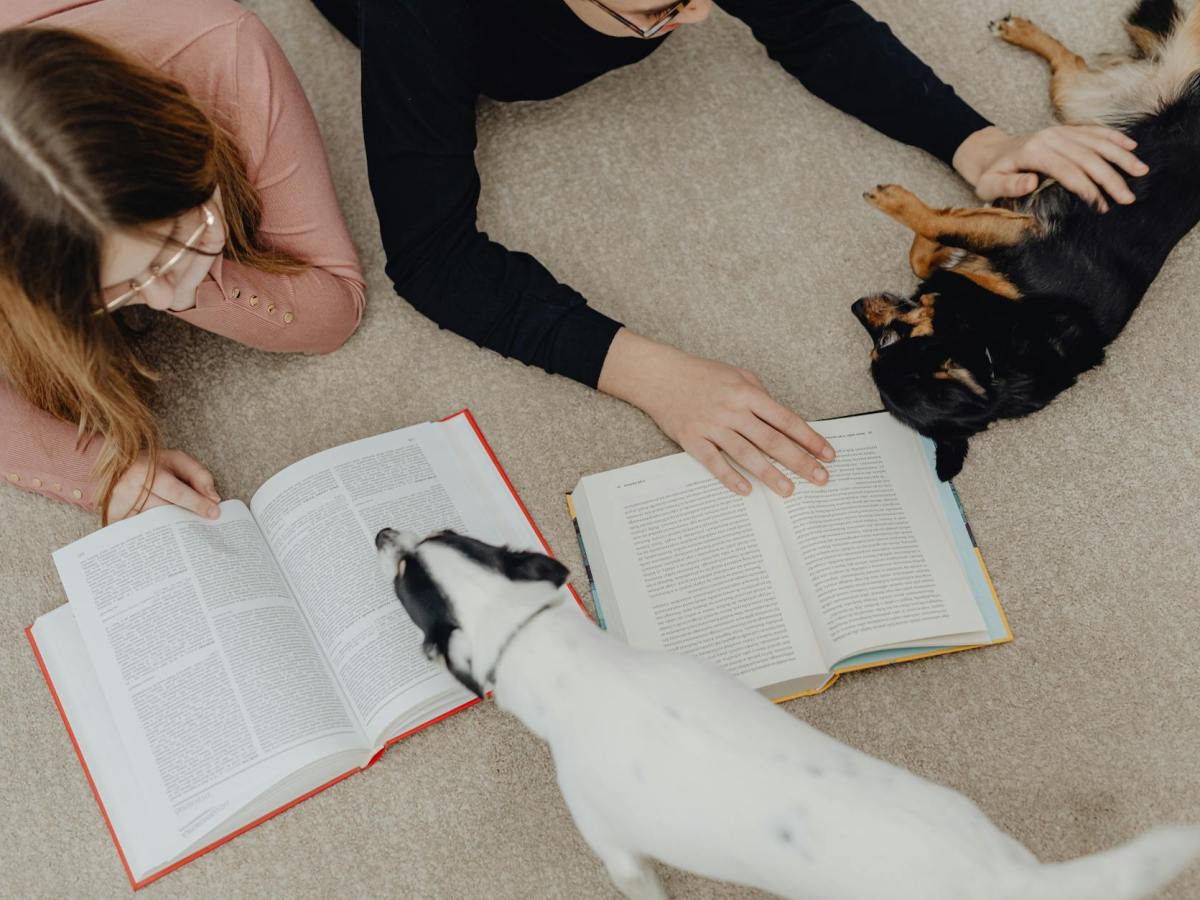 From Wellness Days to Therapy Dogs: Building a Healthier School Culture for the 21st&nbsp;Century